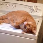Garfield Baxter - Facebook