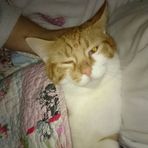 Garfield Collins - Facebook