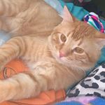 Garfield James Towry 😼 - @fargield_19 - Instagram