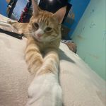 Garfield johnson - @garfield.john.johnson - Instagram