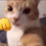 Garfield Johnson - @ghostboy52000 - Instagram