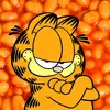 The Garfield Johnson - @garfield_johnson - TikTok