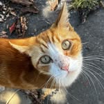 Morris Garfield - @garfield_morris_22 - Instagram