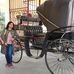 Gargi Basu - Facebook
