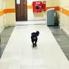 Batesgarland - @batesgarland2 - TikTok