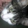 user8323437752609 - @elgaryandpompom - TikTok