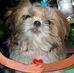 Darlene GarlandWebb - Facebook