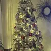 Garnet Elizabeth King - @garnet.elizabeth6 - TikTok