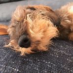 Garnet Roach - Facebook