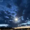 garret - @garretholt - TikTok