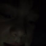 Garrett - @garrettbacon - Instagram