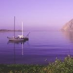 Garrett Bauer - @bauertile968672 - Instagram