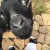 lisagarrettbearden - @lisagarrettbearden - TikTok