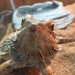 Garrett Bond - @bond_garrett - Instagram