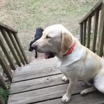 Garrett Bowen - @garrettbowen09 - Instagram