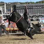 Garrett Carter - @garrettcarter711 - Instagram