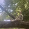 Garrett Carter - @garrett.carter - TikTok