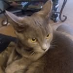 Garrett Chamberlain - @garrettchamber_ - Instagram