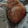 Garrett Chambers - @garrett.chambers0 - TikTok