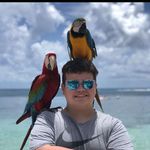 Garrett Cole - @idoozie - Instagram