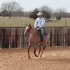 Garrett Compton93 - @garrettcompton93 - TikTok