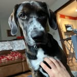 Garrett Compton - @garrett_a_compton - Instagram