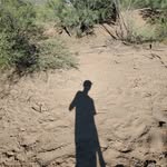 Garrett copeland - @garrett_copeland2 - Instagram