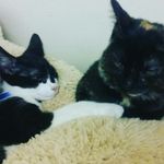 Garrett and Reeses - @garrettcurry.reesescurry - Instagram