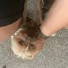 garrettdailey1 - @garrett.dailey - TikTok