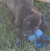Garrett Daly - Facebook