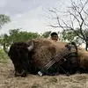 Garrett Daniell - @garrett.daniell - TikTok