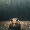 Cassius Young - @garrett_delgado582023 - TikTok