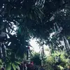 Garrett Delgado - @garrettdelgado6 - TikTok