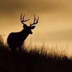 Garrett Dixon - @garrettdixon9963 - Instagram