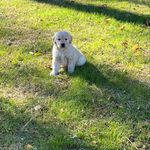 Garrett Doyle - @garrett_doyle25 - Instagram