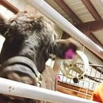 Garrett Fields - @garrettfields1187 - Instagram