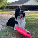 Garrett Gentry - Facebook