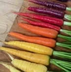 Golden Carrot - Facebook