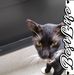 Garrett Hampson - Facebook