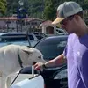 garrettharbin3 - @garrettharbin3 - TikTok