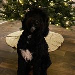 Garrett Hatchett - @garretthatchett - Instagram
