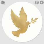 Garrett Hobbs - @the_peace_offering - Instagram
