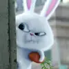 garretthobbs681 - @garretthobbs681 - TikTok