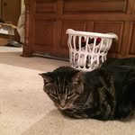 Garrett Karr - @floppy_squids - Instagram