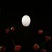Garrett Karr - Facebook