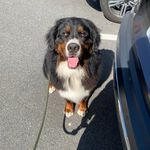 Garrett Kelley - @gkelley33 - Instagram