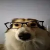 Garrett - @garrett.bkline - TikTok