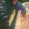 Garrett kline - @user2345825135551 - TikTok