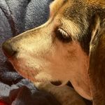 garrett knott - @garrett_knott_lol - Instagram