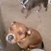 Garrett Knott - @garrett.knott6 - TikTok